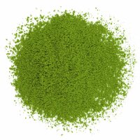 Matcha Grüner Tee Pulver 100g Bio Japan